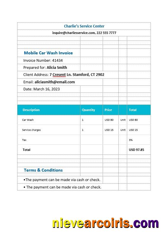 Mobile Car Wash Invoice